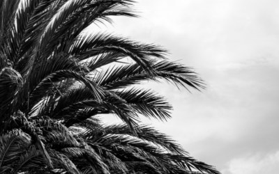After Beach – self care vibe